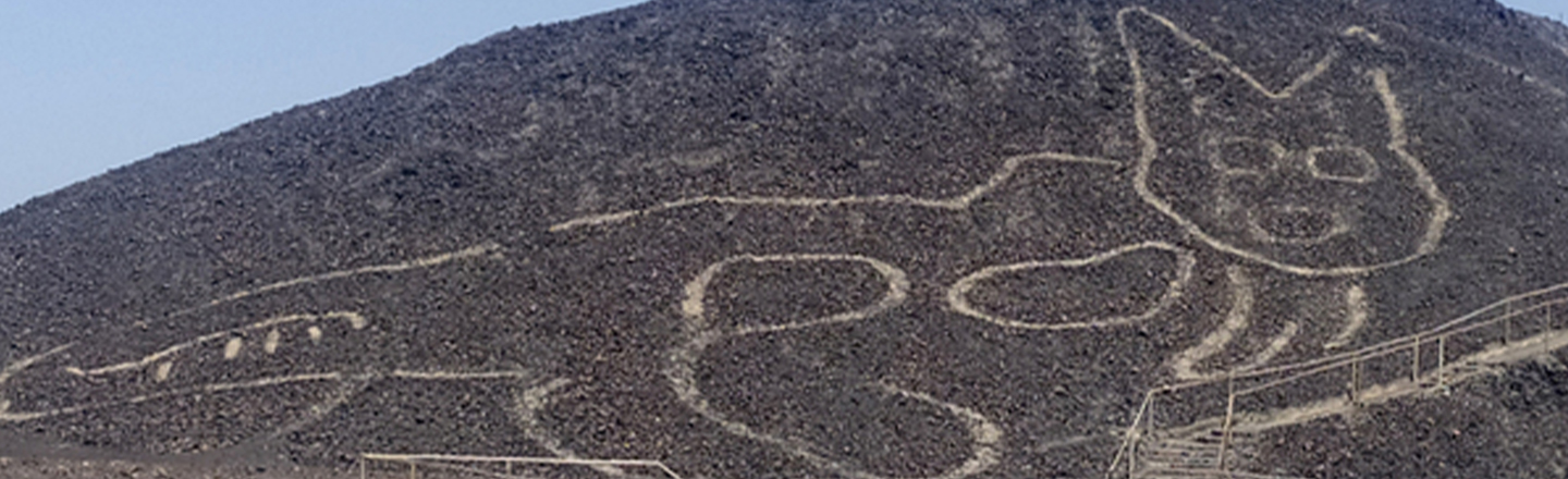 Massive 2 000 Year Old Cat Drawing Discovered In Peru Cracked Com