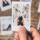 CRACKED ROUND-UP: Burning Man Edition!