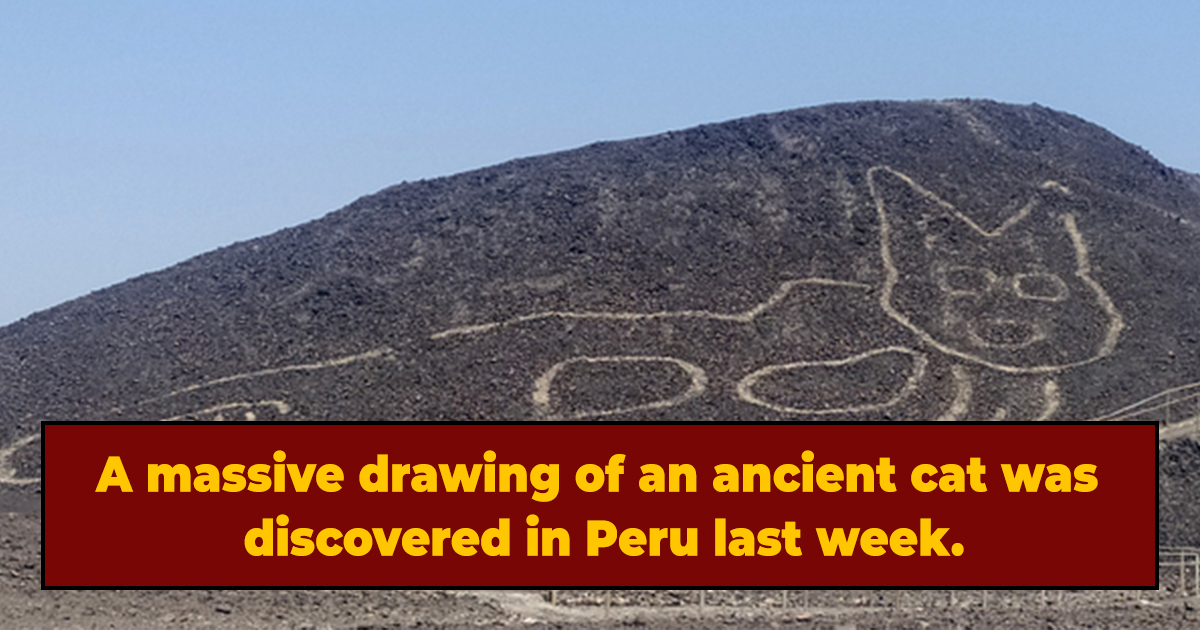 Massive 2 000 Year Old Cat Drawing Discovered In Peru Cracked Com