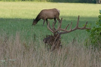 6 Hunters Who Are More Jackass Than Bad Ass