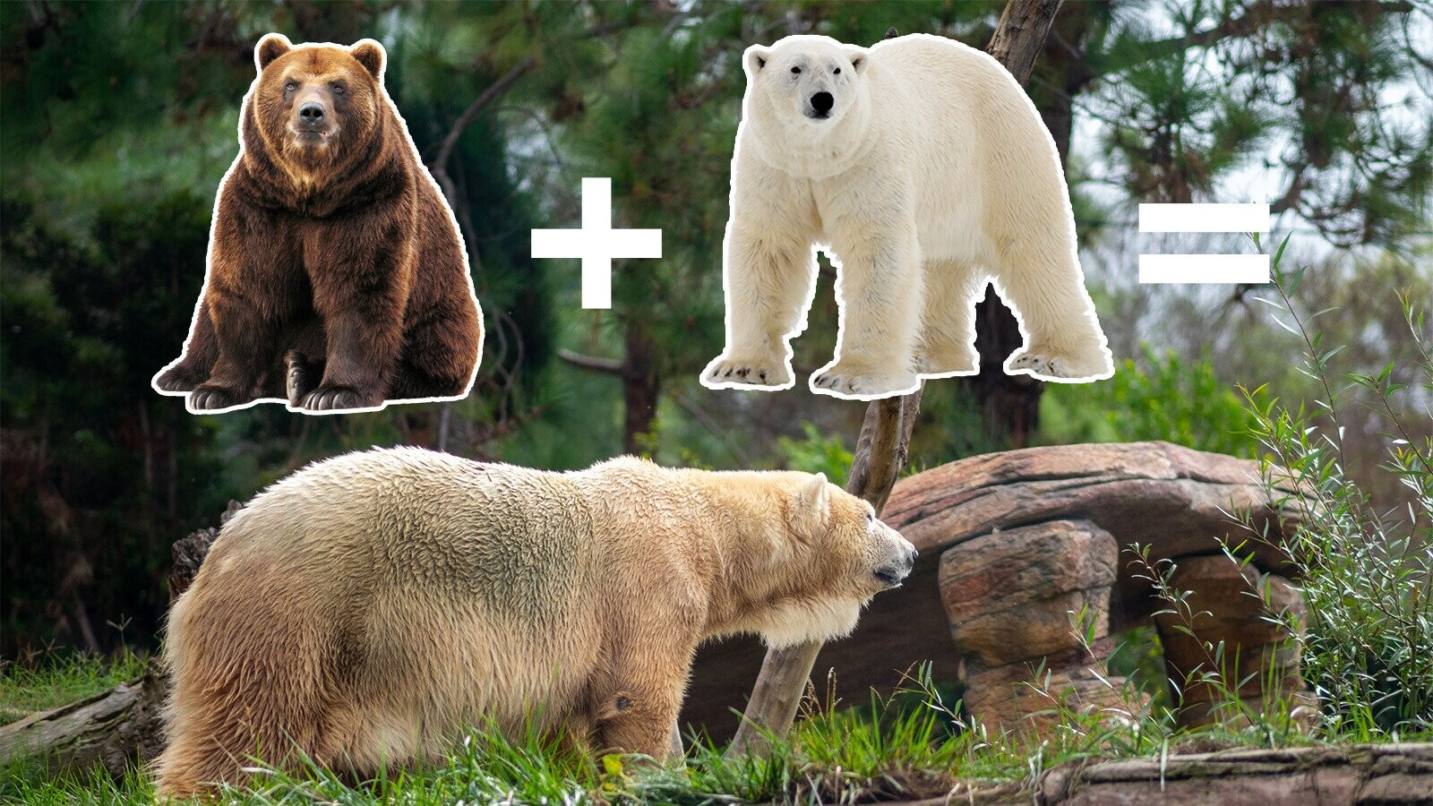 12 Bits of Trivia We Found Under Our Car Seat When We Dropped Our Phone