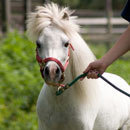 Cracked Round-Up: Batman Movie, What Batman Movie? Edition