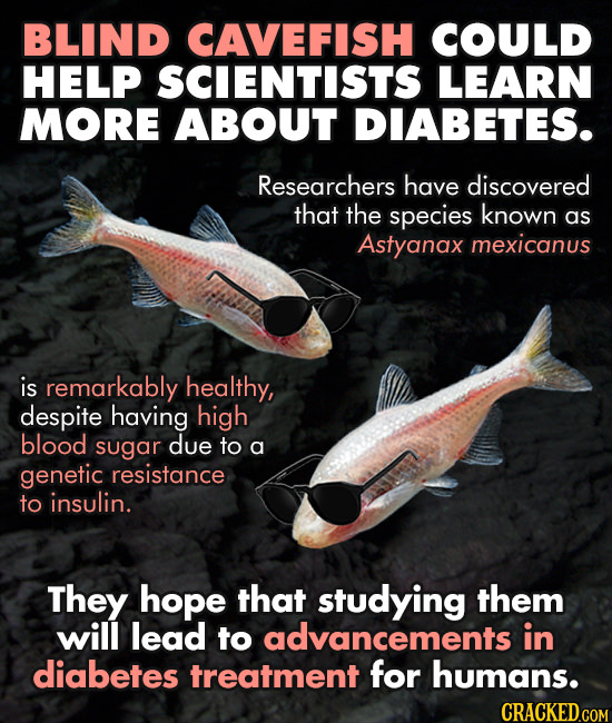 California Gets STDs, And Other Breaking Health News