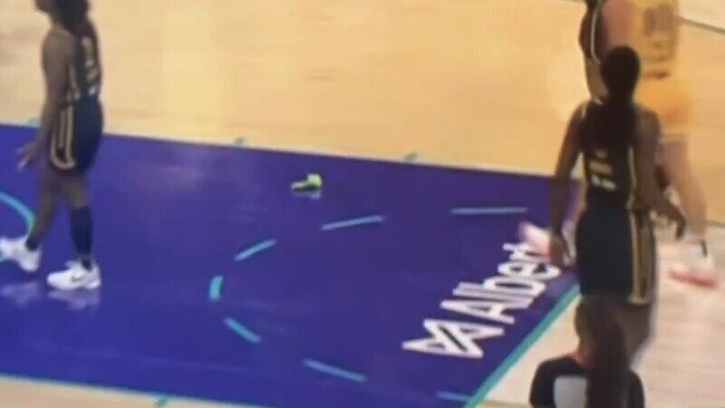 Inside the Meme Coin Community Behind the Dildo Throwing at WNBA Games