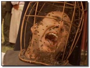 6 Animals That Can Get You High