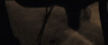 Mark Wahlberg shocked by electricity