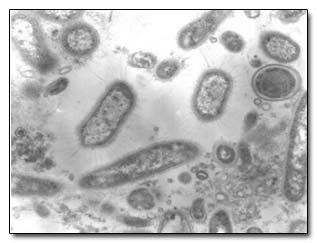 6 Movies With Uplifting Messages (That Can Kill You)