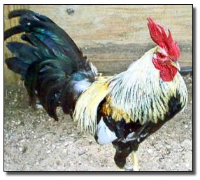 5 Self-Destructive Ways People Accidentally Cured Themselves