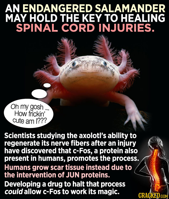 California Gets STDs, And Other Breaking Health News