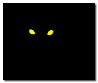 5 Of the Most Badass Soldiers Ever (Happened to be Dogs)