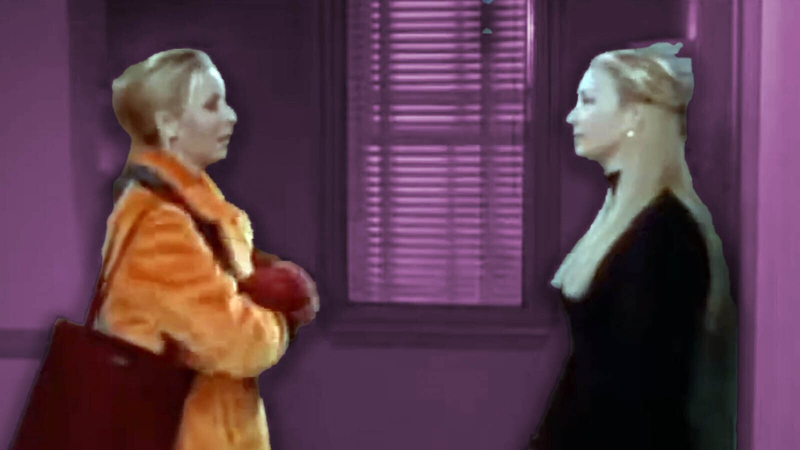 5 Sitcoms on Which the Same Actor Played Multiple Roles