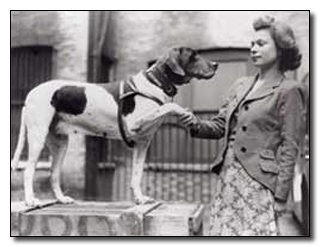 5 Of the Most Badass Soldiers Ever (Happened to be Dogs)