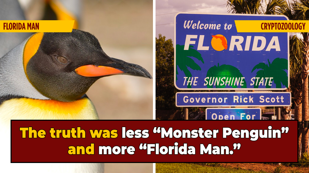 That Time Florida Feared A 'Giant Penguin' Was Terrorizing Beaches