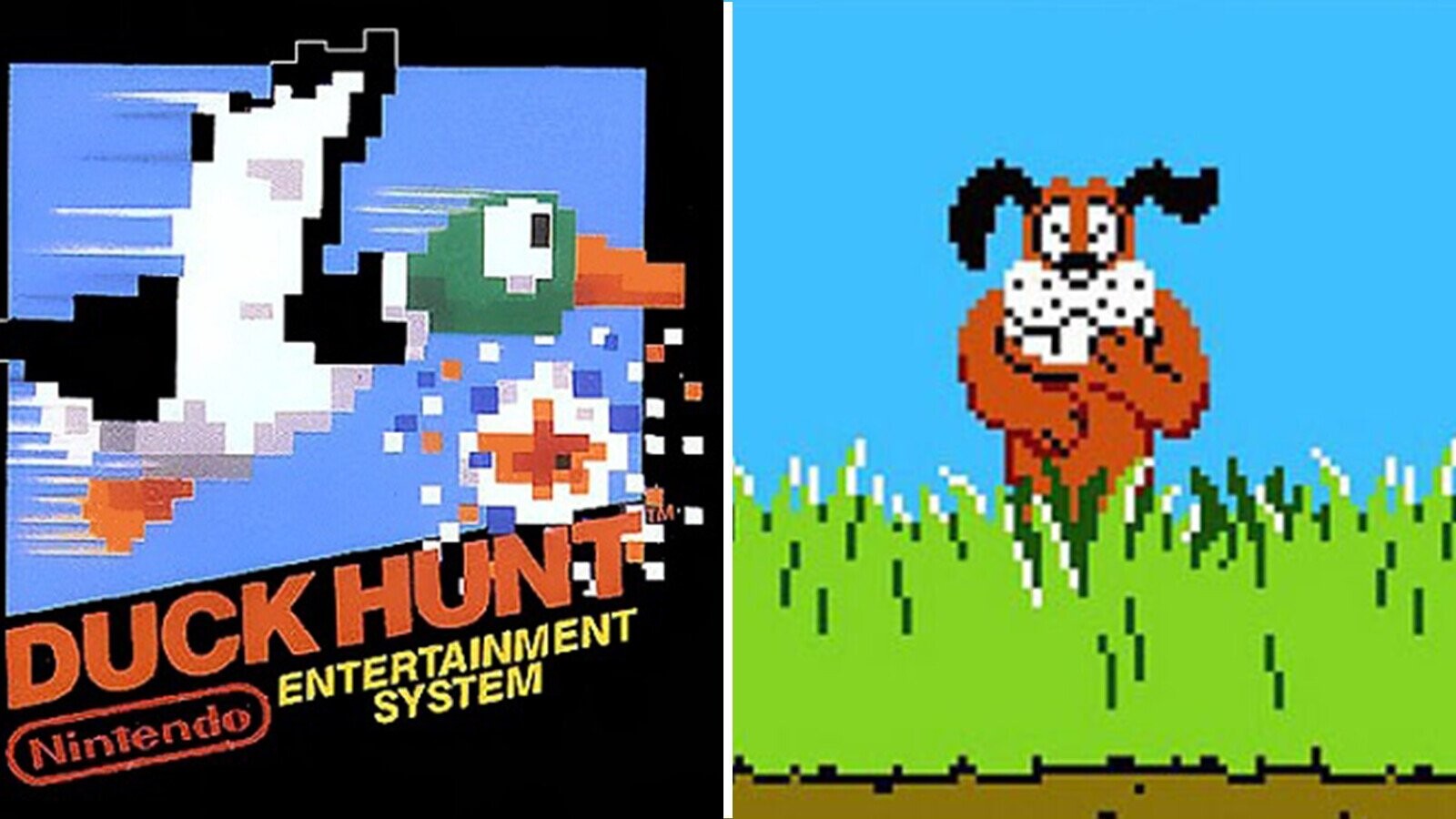 We Could Originally Shoot The Dog In Duck Hunt Cracked