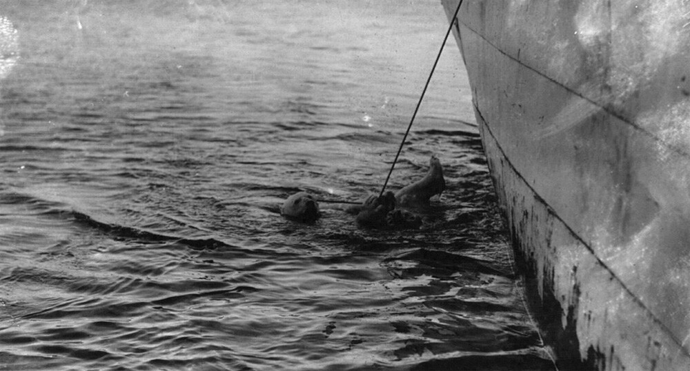 Capturing polar bear alive on Paul J. Rainey's hunting expedition