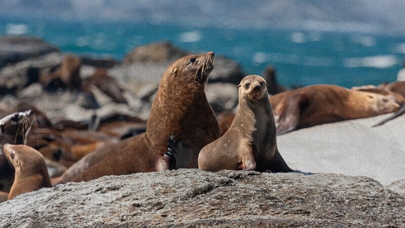 5 of the Smelliest Places in the History of the Planet