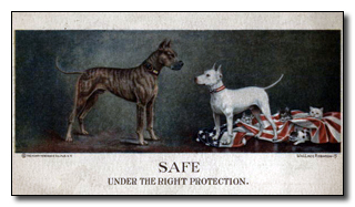 5 Of the Most Badass Soldiers Ever (Happened to be Dogs)