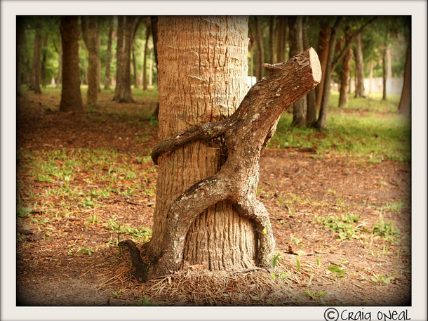 The 5 Most Poorly Conceived 'Sexy' Charity Drives