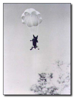 5 Of the Most Badass Soldiers Ever (Happened to be Dogs)