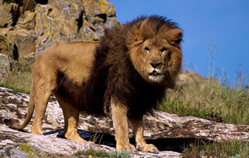 5 Stories You Got Outraged About (Went Back To Being Awful)