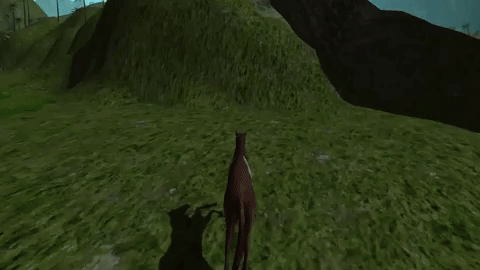 A horse independent of physics