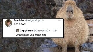 21 of the Funniest Tweets from August 29, 2023