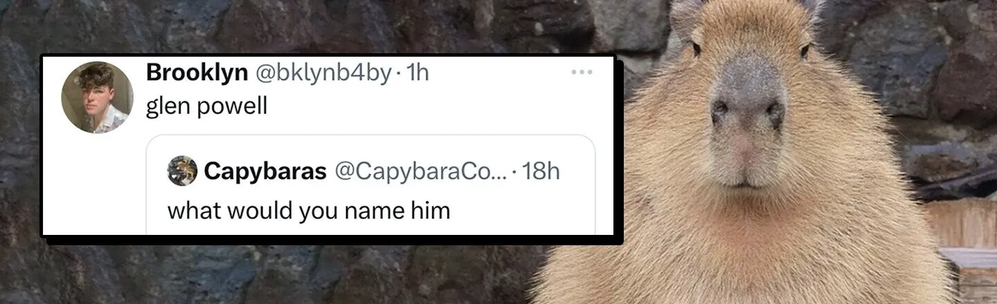 21 of the Funniest Tweets from August 29, 2023