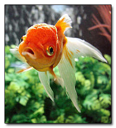 7 Secrets Only Two Living People Know (For Some Reason)