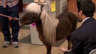 'Parks And Rec's Lil Sebastian: What's The Big (Lil) Deal?