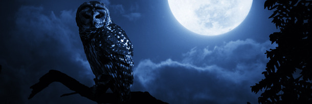 6 Monster Legends Too Intense For The Western World