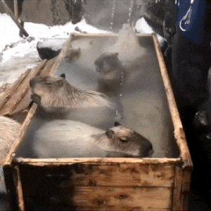 Things To Be Thankful For In A World Of Unrelenting Horror