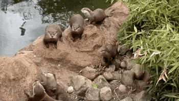 Things To Be Thankful For In A World Of Unrelenting Horror