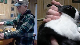 A Bunny Expert Classifying Rabbits Is Oddly Hypnotic, Wholesome ...