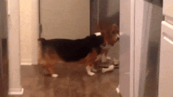 Things To Be Thankful For In A World Of Unrelenting Horror