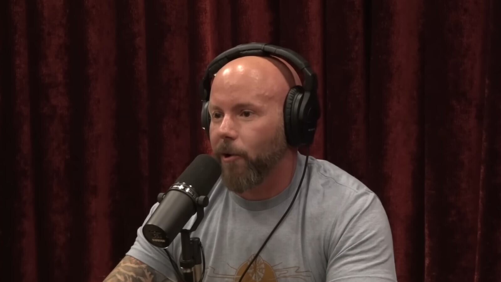 Did Joe Rogan Just Interview the Bald Elizabeth Holmes?