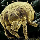 Cracked Round-Up: Gang Violence Edition