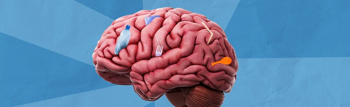Sorry, But There Is Probably Plastic in Your Brain