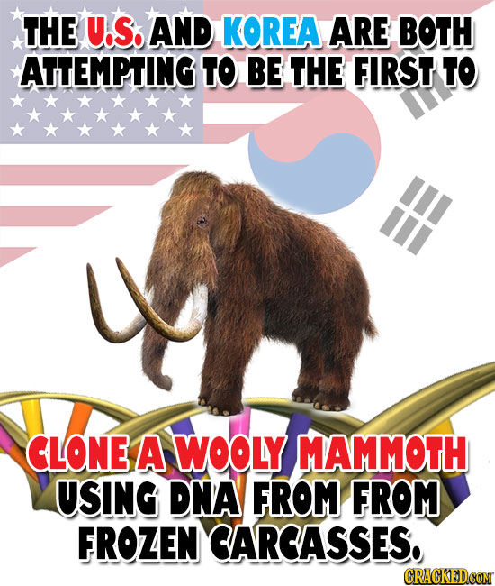 THE U.S. AND KOREA ARE BOTH ATTEMPTING to BE THE FIRST to HI CLONE A WOOLY MAMMOTH USING DNA FROM FROM FROZEN CARCASSES. CRACKEDCoM 