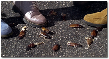 6 Mind Blowing Ways 'Starship Troopers' Predicted the Future