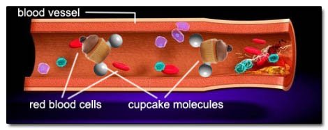 blood vessel red blood cells cupcake molecules 