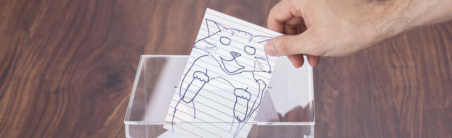 What I Learned Spamming A Suggestion Box With Cat Pictures