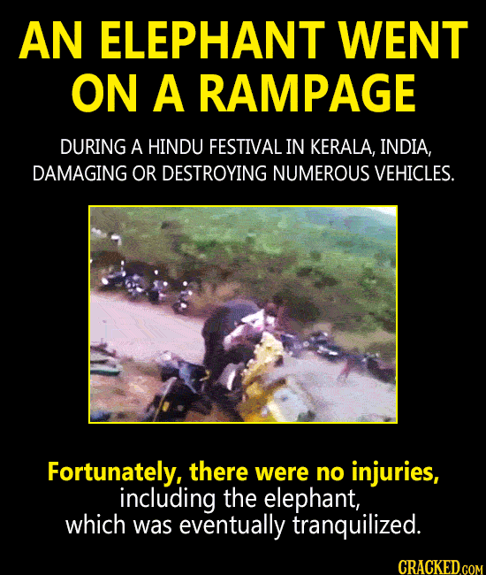 The 15 Most Insane Things Happening Right Now (3/8)