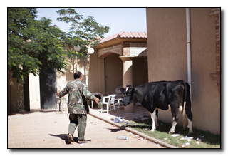 5 Backup Plans That Would Have Changed Modern History