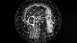 Stimulate Your Neurotransmitters with the One Cracked Fact Daily Newsletter!
