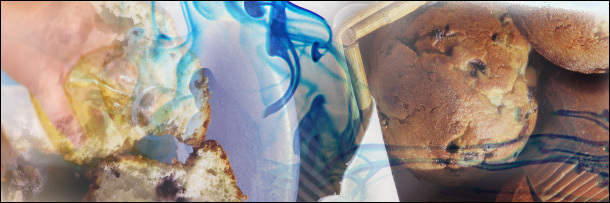 The 6 Most Horrifying Lies The Food Industry is Feeding You