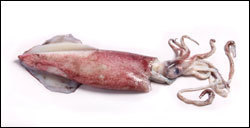 The 4 Worst Times to Be on The Internet