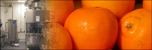 The 6 Most Horrifying Lies The Food Industry is Feeding You