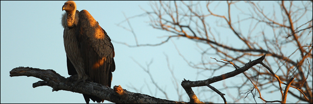 5 Backup Plans That Would Have Changed Modern History