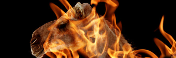 Camal Exploding 6 Insane Uses of Animals in Wartime (That Actually Worked) | Cracked.com