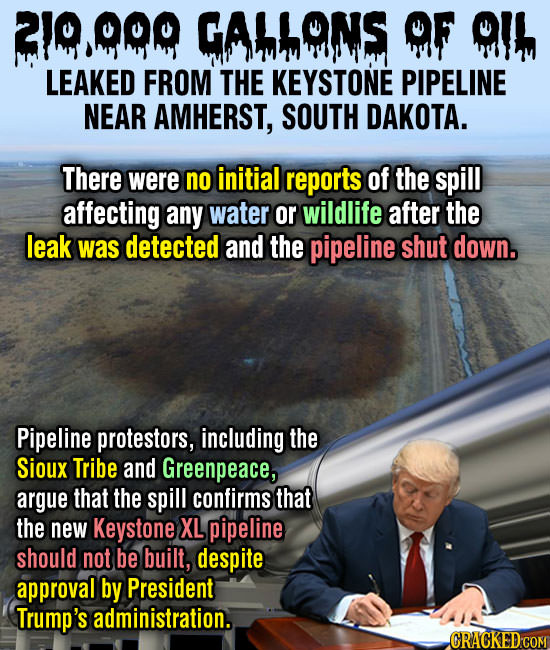 1OOO GAMHANS OF alh LEAKED FROM THE KEYSTONE PIPELINE NEAR AMHERST, SOUTH DAKOTA. There were no initial reports of the spill affecting any water or wi